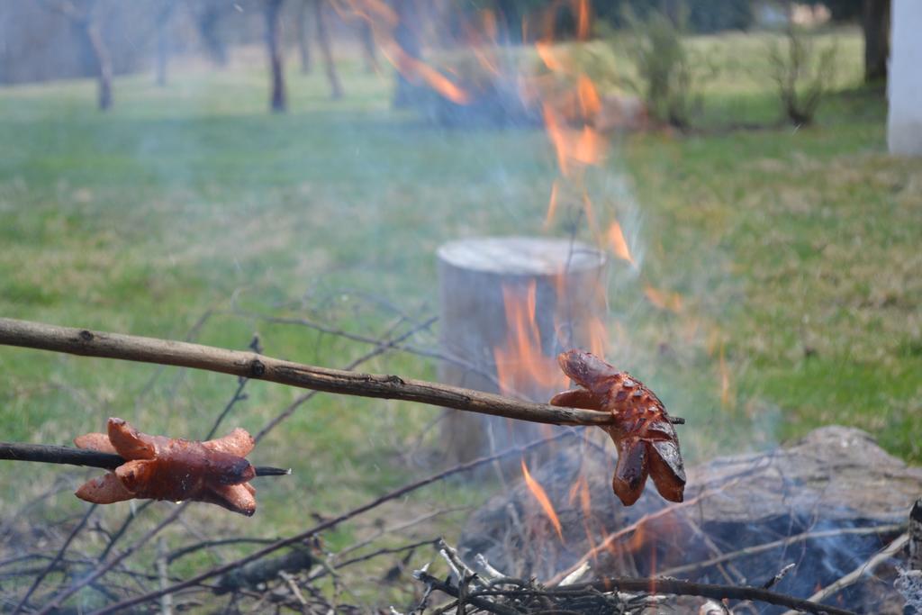 Chalupa Pod Klepacem Králíky Eksteriør bilde